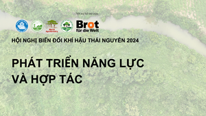 PHÁT TRIỂN NĂNG LỰC VÀ HỢP TÁC